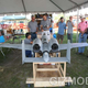 Illustration for article titled A10 RC Model vs the Real Thing at Top Gun 2008
